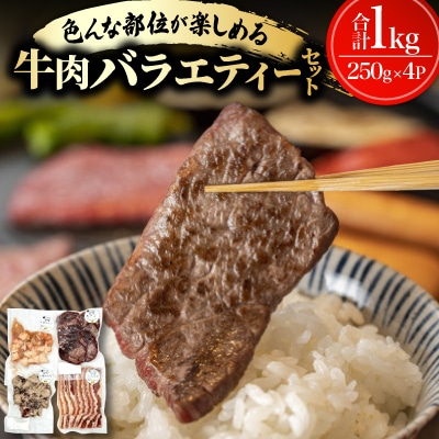 牛肉バラエティーセット 1kg(カルビ・ハラミ・タン・マルチョウ 各種250g)