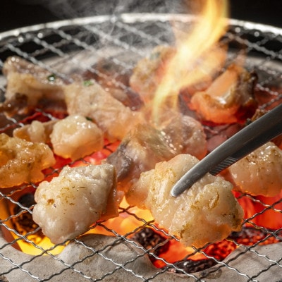 牛肉バラエティーセット 1kg(カルビ・ハラミ・タン・マルチョウ 各種250g)