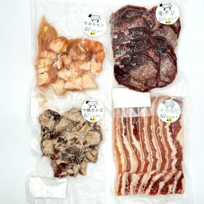 牛肉バラエティーセット 1kg(カルビ・ハラミ・タン・マルチョウ 各種250g)