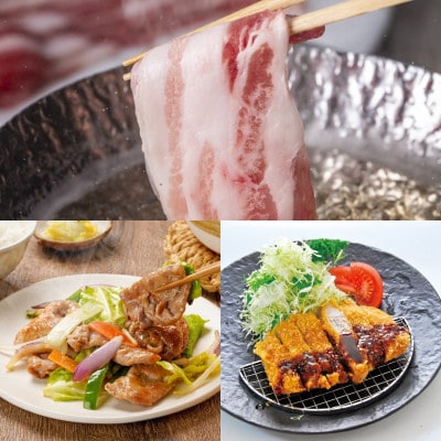 豚肉&牛肉 7種食べ比べまんぷくセット 合計1.75kg