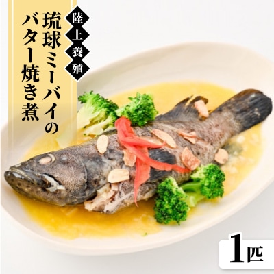 陸上養殖 琉球ミーバイのバター焼き煮 1匹