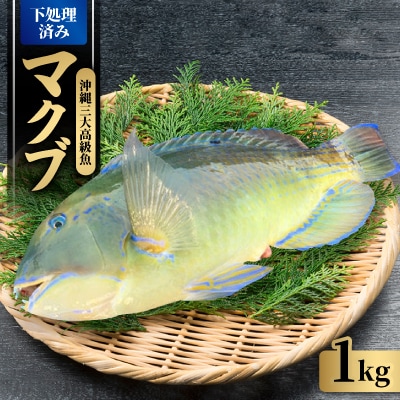 沖縄三大高級魚 マクブ 1kg(下処理済み・冷蔵発送)
