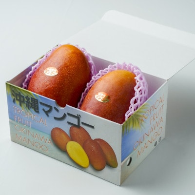 【2027年発送・糖度12度以上保証】野波さんの完熟アップルマンゴー2玉(1.0kg～1.2kg)
