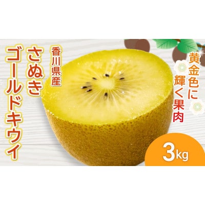 先行受付 さぬきゴールドキウイ 約3kg キウイフルーツ 香川県産 丸亀市