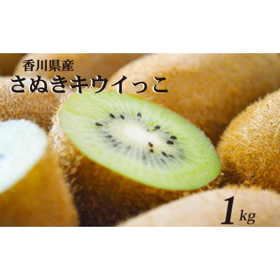 先行受付 さぬきキウイっこ 約1kg キウイフルーツ 香川県産 丸亀市 発送11月上旬から