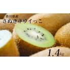 先行受付 さぬきキウイっこ 約1.4kg キウイフルーツ 香川県産 丸亀市 発送11月上旬から