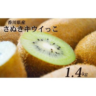 先行受付 さぬきキウイっこ 約1.4kg キウイフルーツ 香川県産 丸亀市 発送11月上旬から