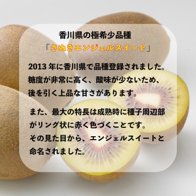 先行受付 さぬきエンジェルスイート 約1kg キウイフルーツ 香川県 丸亀市 発送11月上旬～