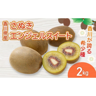 先行受付 さぬきエンジェルスイート 約2kg キウイフルーツ 香川県 丸亀市 発送11月上旬～