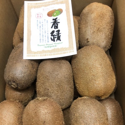 先行受付 キウイフルーツ 香緑 約1kg 香川県産 丸亀市 発送11月下旬～