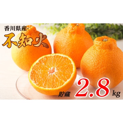 先行受付 不知火 約2.8kg 貯蔵 発送:4月下旬～