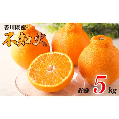 先行受付 不知火 約5kg 貯蔵 発送:4月下旬～