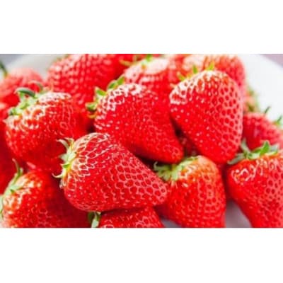いちごのお姫様 さぬきひめ 約500g (約250g×2パック) 12月から順次発送