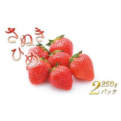 いちごのお姫様 さぬきひめ 約500g (約250g×2パック) 2月から順次発送