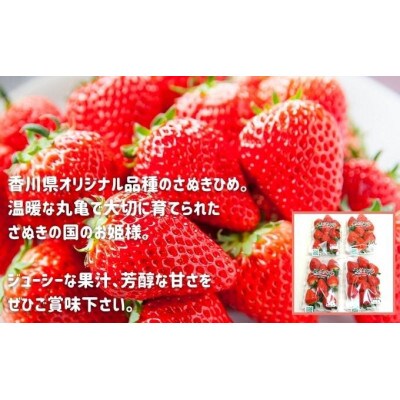 いちごのお姫様 さぬきひめ 約1kg (約250g×4パック) 12月から順次発送
