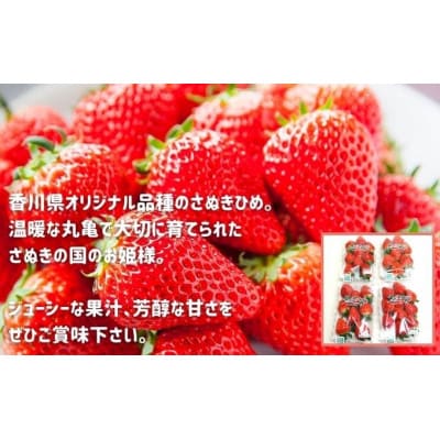 いちごのお姫様 さぬきひめ 約2kg (約250g×8パック) 2月から順次発送