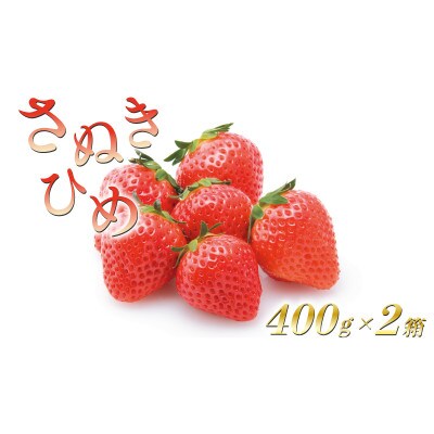 いちごのお姫様 さぬきひめ 約800g (400g×2箱) 化粧箱入 2月から順次発送