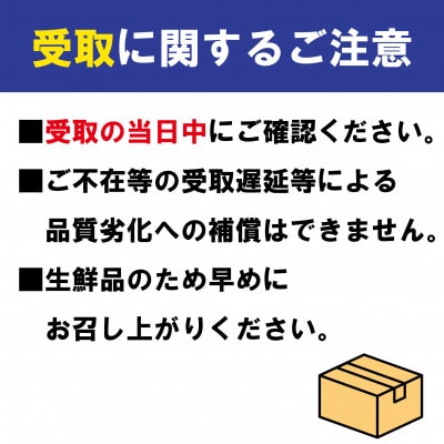 いちご 紅ほっぺ 約1kg(約250g×4パック) 2月~発送