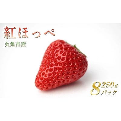 いちご 紅ほっぺ 約2kg (約250g×8パック) 2月~発送
