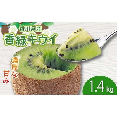 濃厚な甘み!香緑 キウイフルーツ 約1.4kg