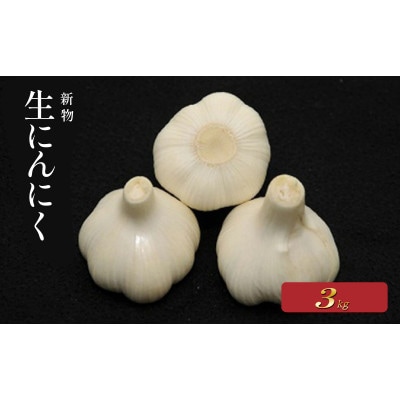 先行受付 生にんにく (新物) 約3kg ニンニク 発送:5月上旬～