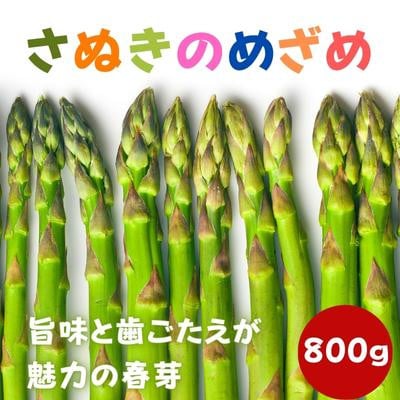 先行受付  さぬきのめざめ 春芽 アスパラガス 約800g 発送:2月上旬～
