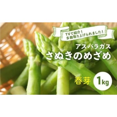 【先行受付】 アスパラガス さぬきのめざめ 春芽 1kg 配送:3月上旬～