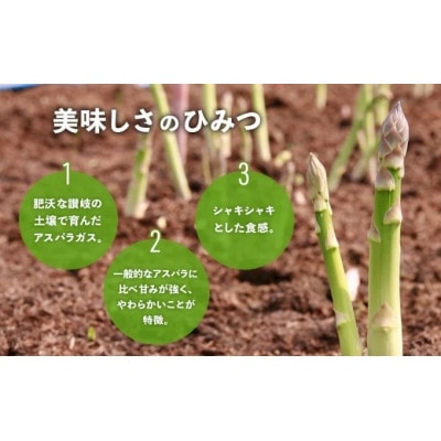 【先行受付】 アスパラガス さぬきのめざめ 春芽 1kg 配送:3月上旬～