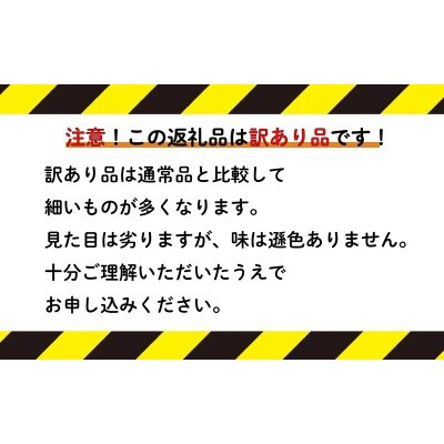 【訳あり】 先行受付 アスパラガス さぬきのめざめ 春芽 1kg 発送:3月上旬～