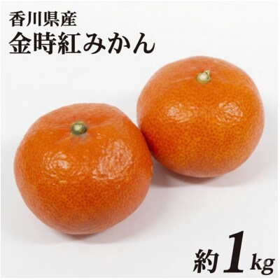 金時紅みかん 約1kg 香川県 丸亀市