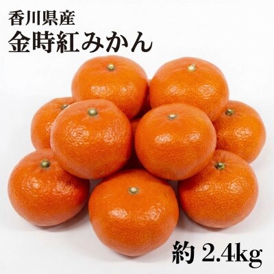 金時紅みかん 約2.4kg 香川県 丸亀市