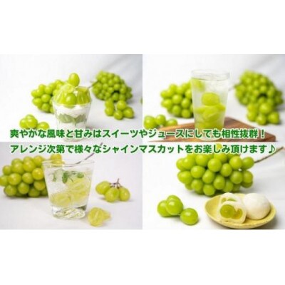 先行受付 シャインマスカット 約500g 1房 発送:8月下旬～