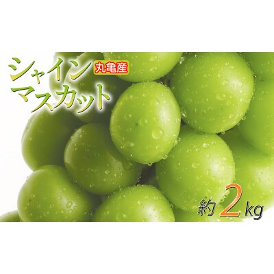 先行受付 シャインマスカット 約2kg 2~5房 発送:8月下旬～