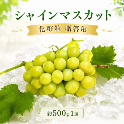 先行受付 贈答用 シャインマスカット約500g 1房 化粧箱  発送:7月下旬～