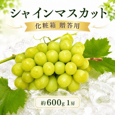 先行受付 贈答用 シャインマスカット 約600g 1房 化粧箱  発送:7月下旬～