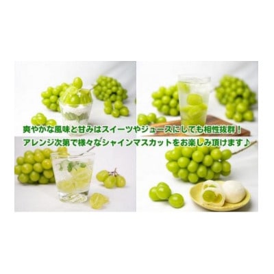 先行受付 訳あり シャインマスカット 約2kg 2-6房 発送:9月初旬～