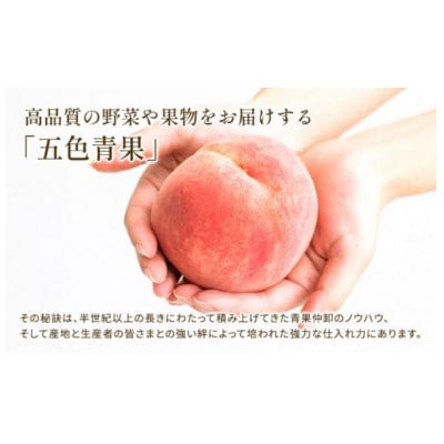 先行受付 訳あり シャインマスカット 約2kg 2-6房 発送:9月初旬～