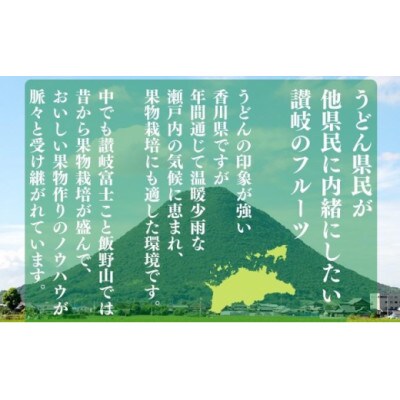 先行受付 ピオーネ 約2kg 3~6房入 発送:8月上旬～