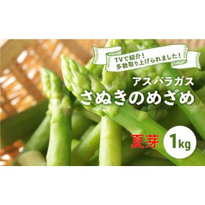 アスパラガス さぬきのめざめ 夏芽 約1kg