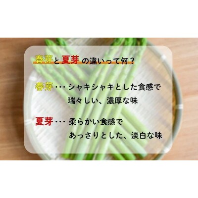 アスパラガス さぬきのめざめ 夏芽 約1kg