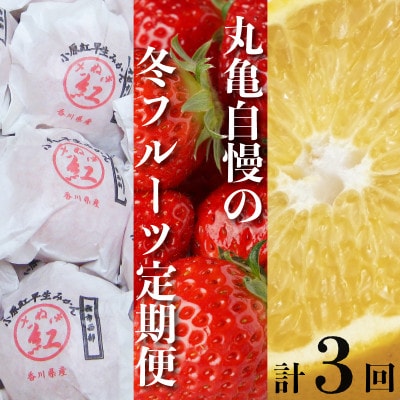 【発送月固定定期便】丸亀自慢のフルーツ (みかん・いちご・八朔) 香川県 丸亀市全3回