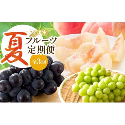 【発送月固定定期便】夏のフルーツ定期便 夏にしか出逢えない丸亀自慢のフルーツ全3回