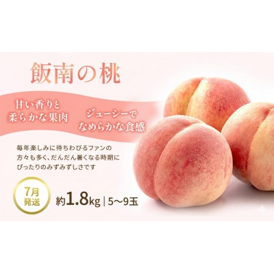 【発送月固定定期便】夏のフルーツ定期便 夏にしか出逢えない丸亀自慢のフルーツ全3回