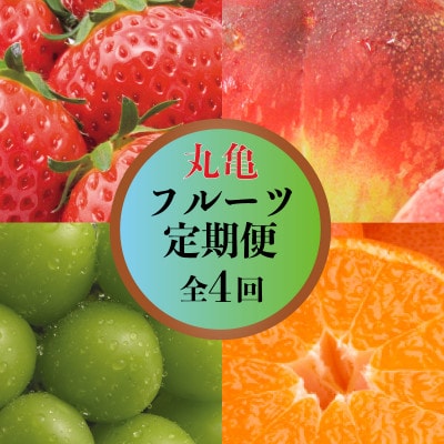 【発送月固定定期便】丸亀のフルーツ定期便 全4回 (いちご 桃 シャインマスカット みかん)全4回