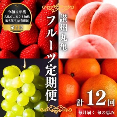【発送月固定定期便】【12回定期便】讃州丸亀 旬の果実便り 絶品フルーツの定期便全12回