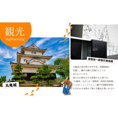 【発送月固定定期便】【12回定期便】讃州丸亀 旬の果実便り 絶品フルーツの定期便全12回