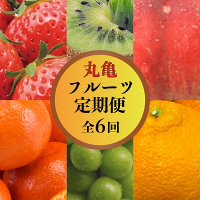 【発送月固定定期便】【6回定期】丸亀のフルーツ定期便 全6回 香川県 丸亀市全6回