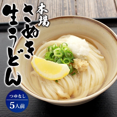 讃岐うどん 生うどん 5食 つゆなし うどん百名店選出 名店なかむら