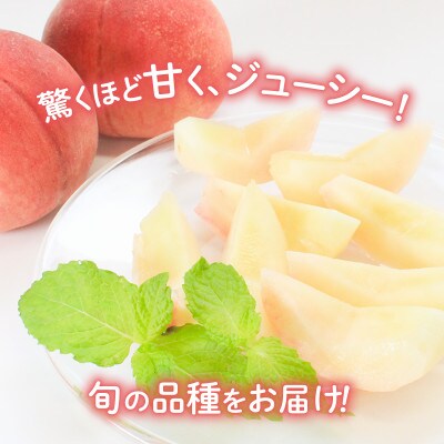 【6月下旬～7月下旬発送】 贈答用 飯山の桃 約4kg(10玉～13玉)
