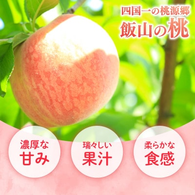 【6月下旬～7月下旬発送】 贈答用 飯山の桃 約4kg(10玉～13玉)